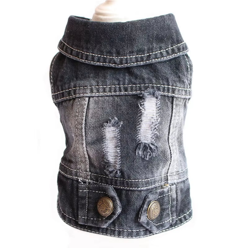 Pawvibe Denim Jacket – Cool & Comfy Jean Style for Trendy Pups