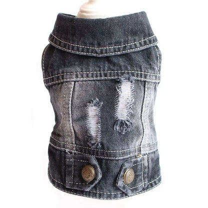 Pawvibe Denim Jacket – Cool & Comfy Jean Style for Trendy Pups